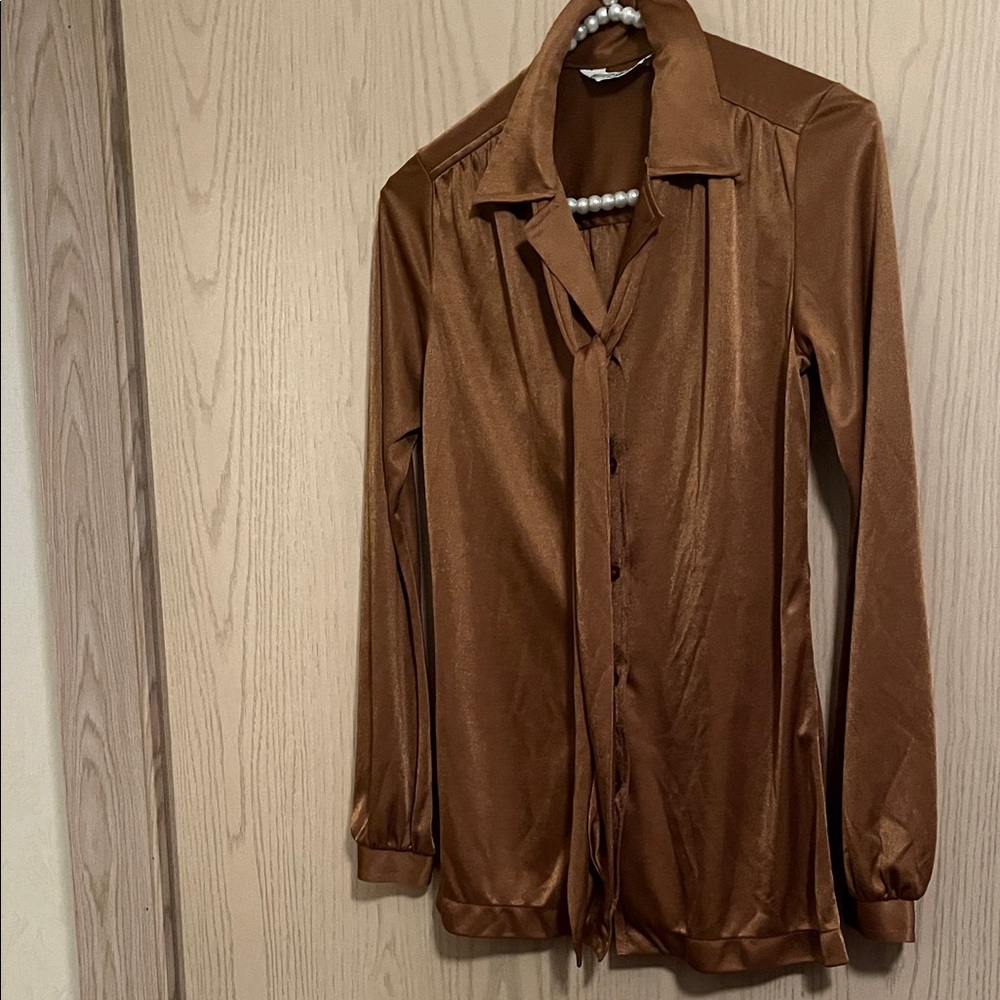 Elegant Brown Satin Looking Blouse